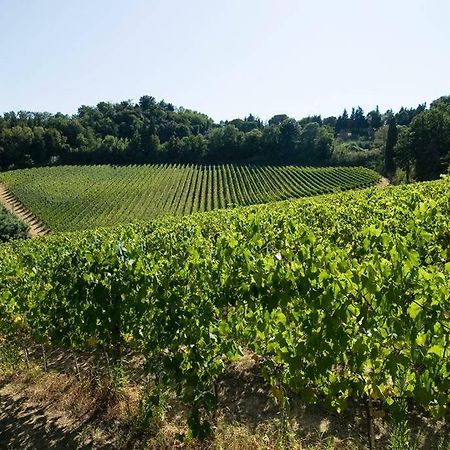 Stunning Country House Overlooking Tuscany Hills Lorenzana エクステリア 写真
