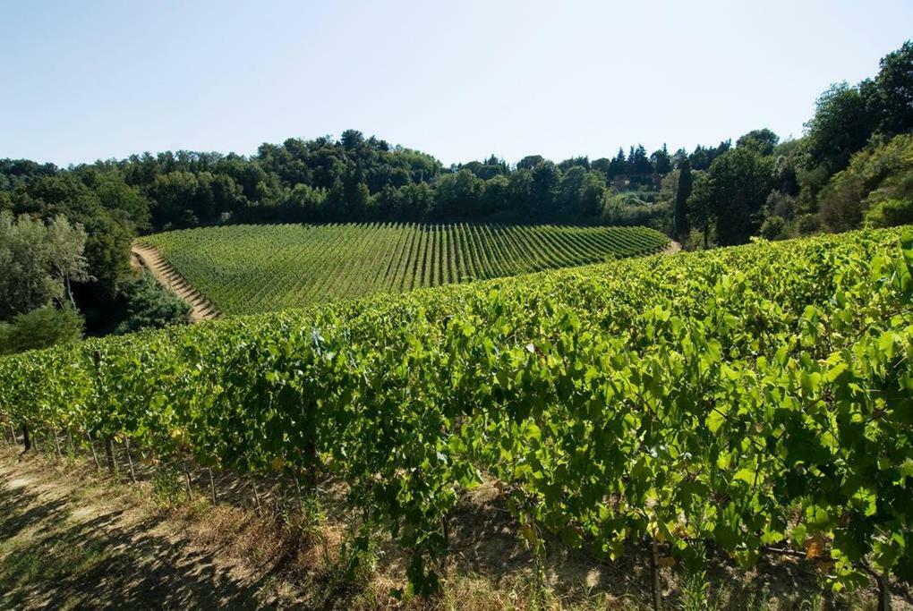 Stunning Country House Overlooking Tuscany Hills Lorenzana エクステリア 写真