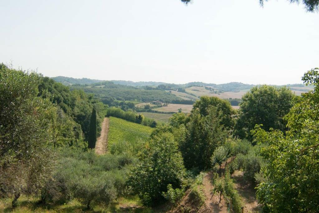 Stunning Country House Overlooking Tuscany Hills Lorenzana エクステリア 写真